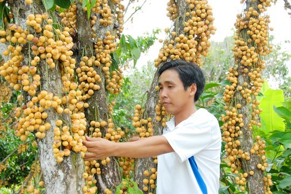 Kham pha xu so dau da dieu ky o mien Tay